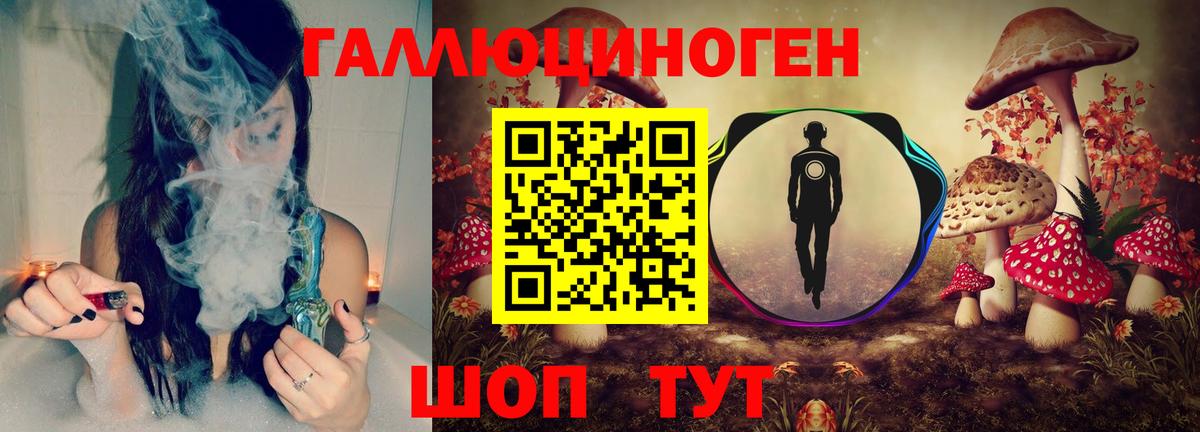 Галлюциногенные грибы MAGIC MUSHROOMS  Галлюциногенные грибы Psilocybine cubensis  Крымск  где купить наркоту  Вход с VPN 
